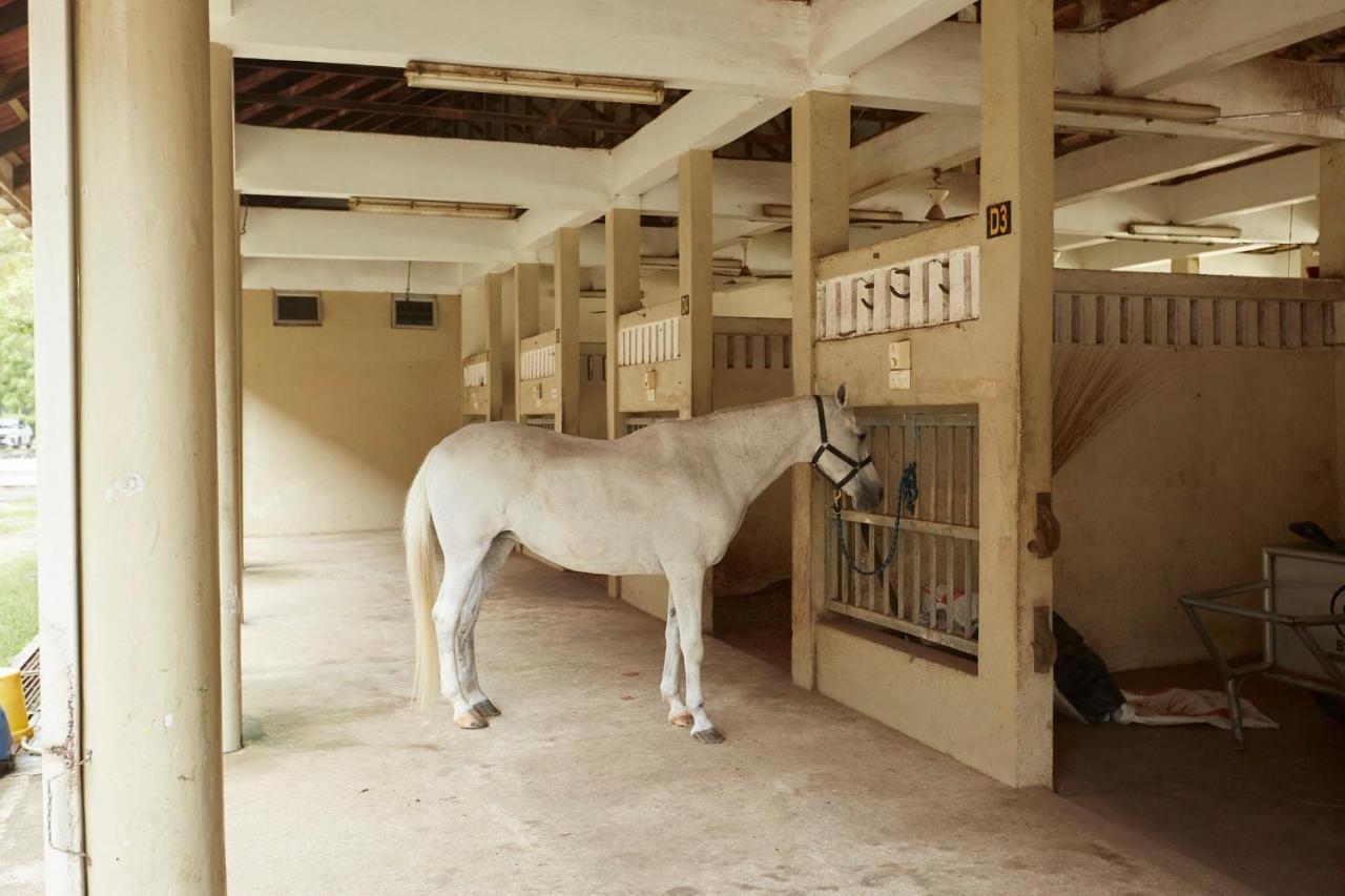 Terengganu Equestrian Resort Kuala Terengganu Exterior photo