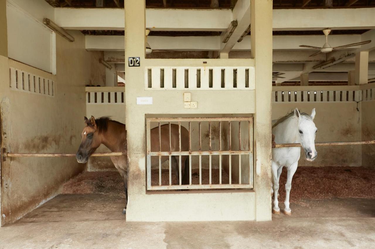 Terengganu Equestrian Resort Kuala Terengganu Exterior photo