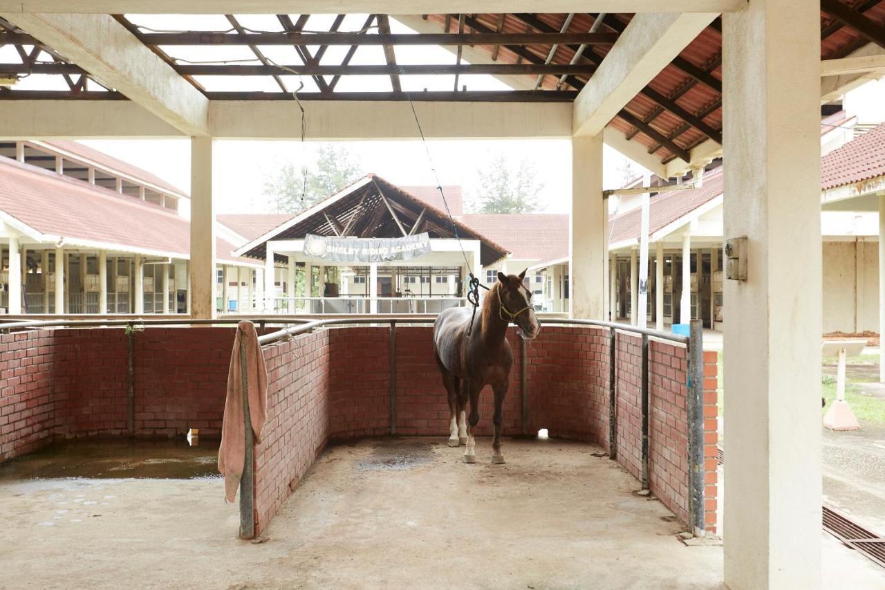 Terengganu Equestrian Resort Kuala Terengganu Exterior photo