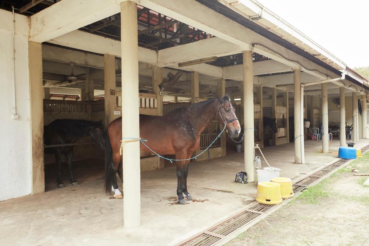 Terengganu Equestrian Resort Kuala Terengganu Exterior photo