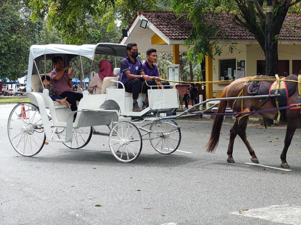Terengganu Equestrian Resort Kuala Terengganu Exterior photo